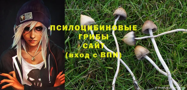 альфа пвп Куйбышев