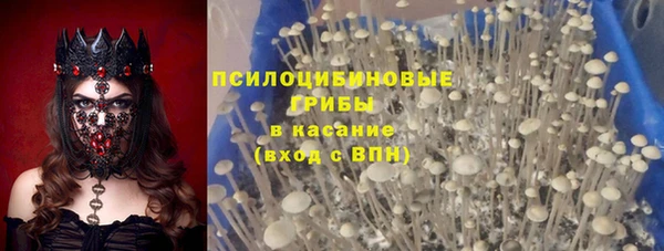 наркотики Алексин