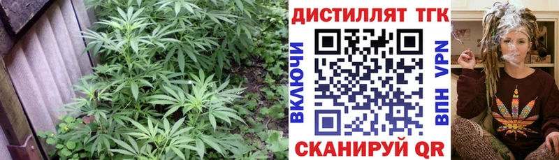 Дистиллят ТГК жижа  Астрахань 