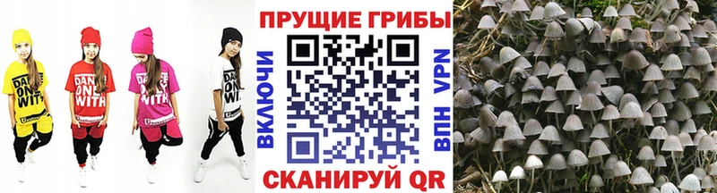МЕГА онион  Астрахань  Галлюциногенные грибы Cubensis  купить наркотики сайты 