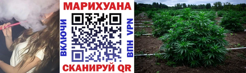 где можно купить наркотик  Астрахань  Бошки марихуана гибрид 